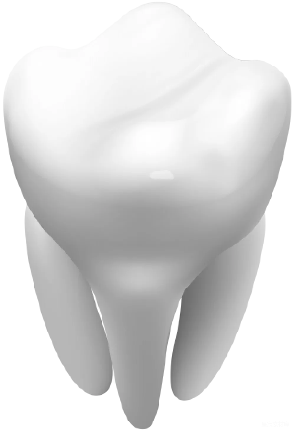 元素素材 牙齿 3D渲染 医疗保健 牙齿的3D渲染图