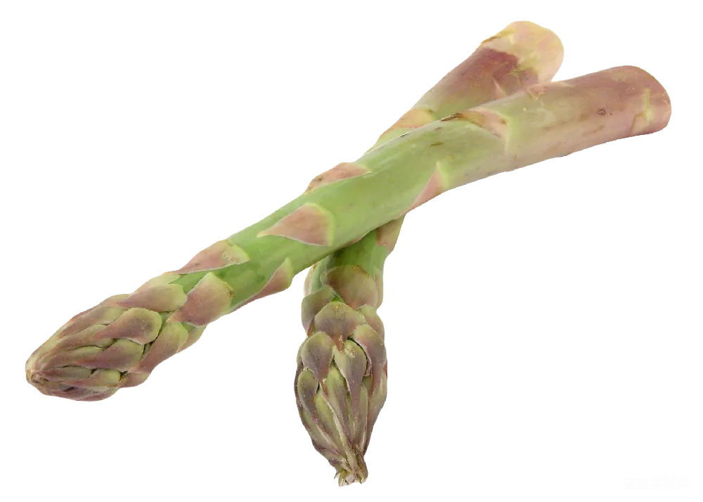 元素素材 芦笋 蔬菜 自然 新鲜芦笋特写