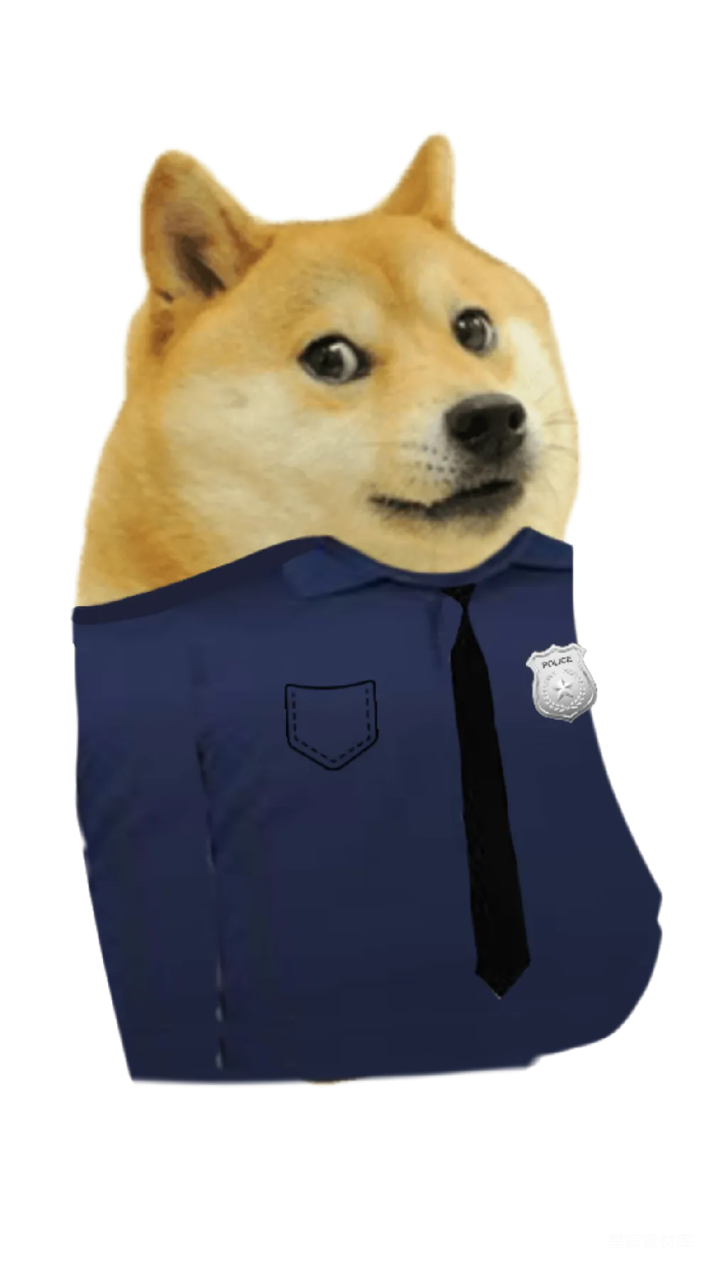 元素素材 警犬戴领带