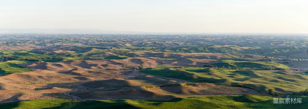 高清摄影 绿色和棕色田地的 aerial 视角