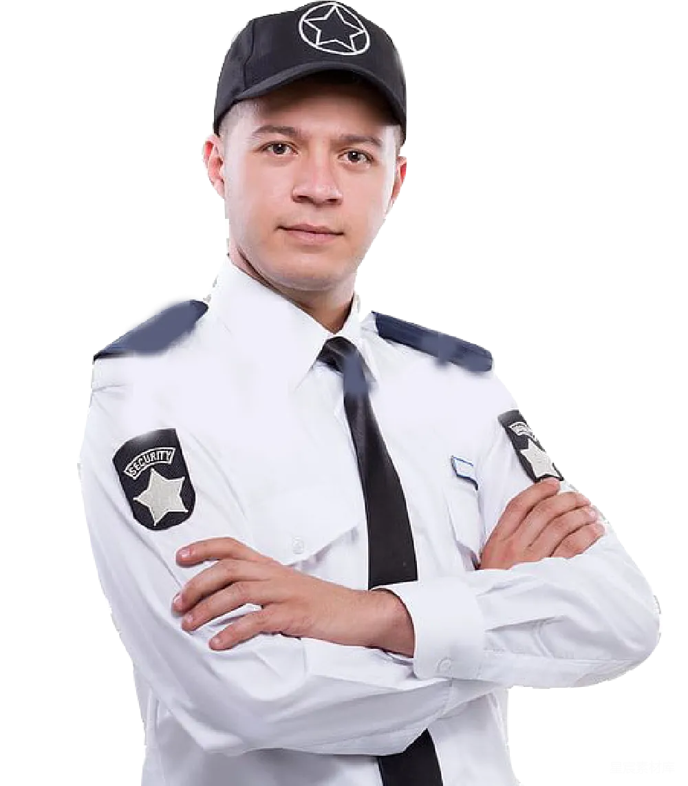 元素素材 元素 卫士