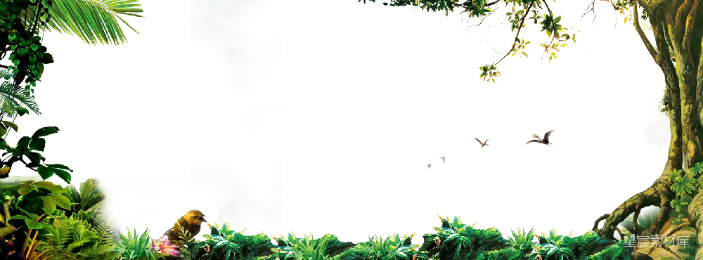 元素素材 透明