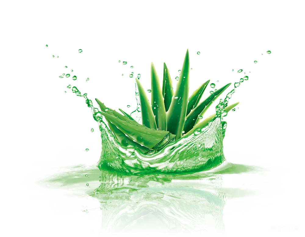 元素素材 芦荟与水的动态艺术