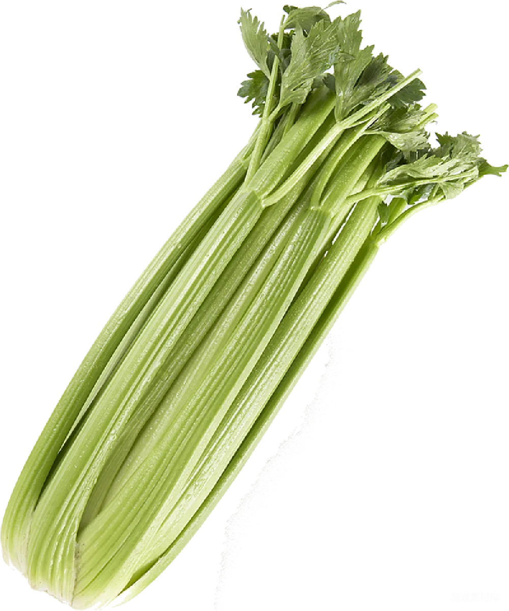 元素素材 元素 Celery