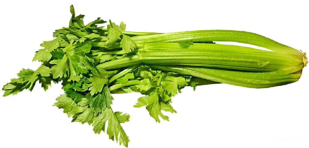 元素素材 蔬菜 绿色 食材 新鲜芹菜
