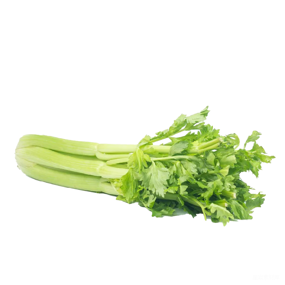 元素素材 元素 Celery