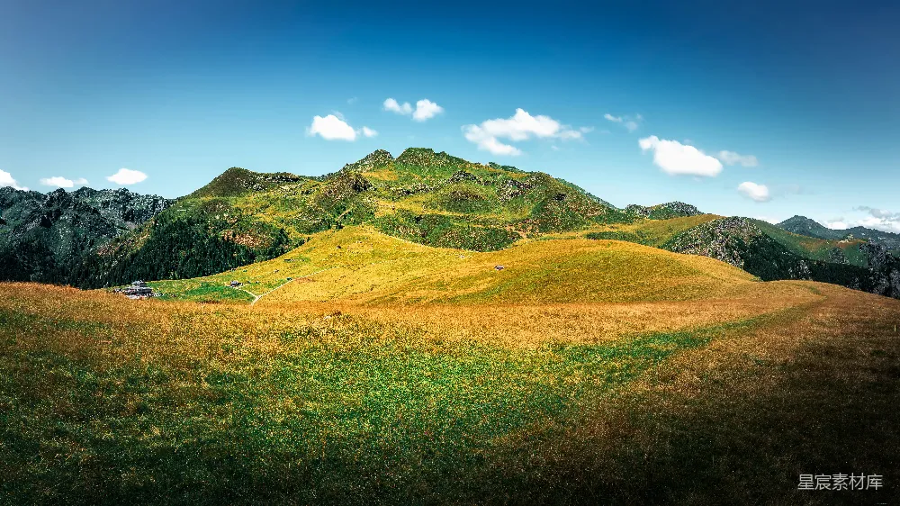 高清摄影 背景是山丘的草地场