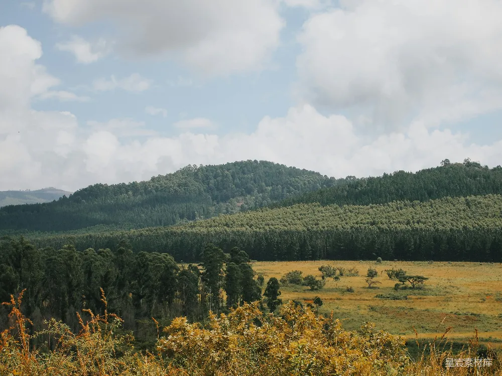 高清摄影  背景有一座山的草地场