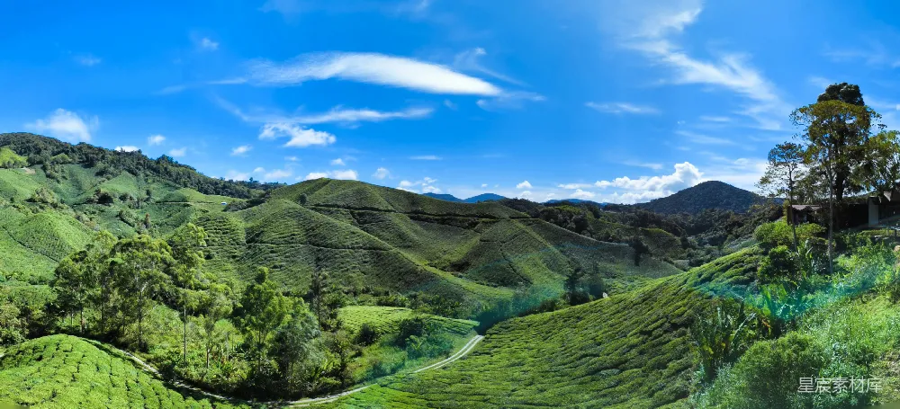 高清摄影  一幅绿意盎然山谷的美景