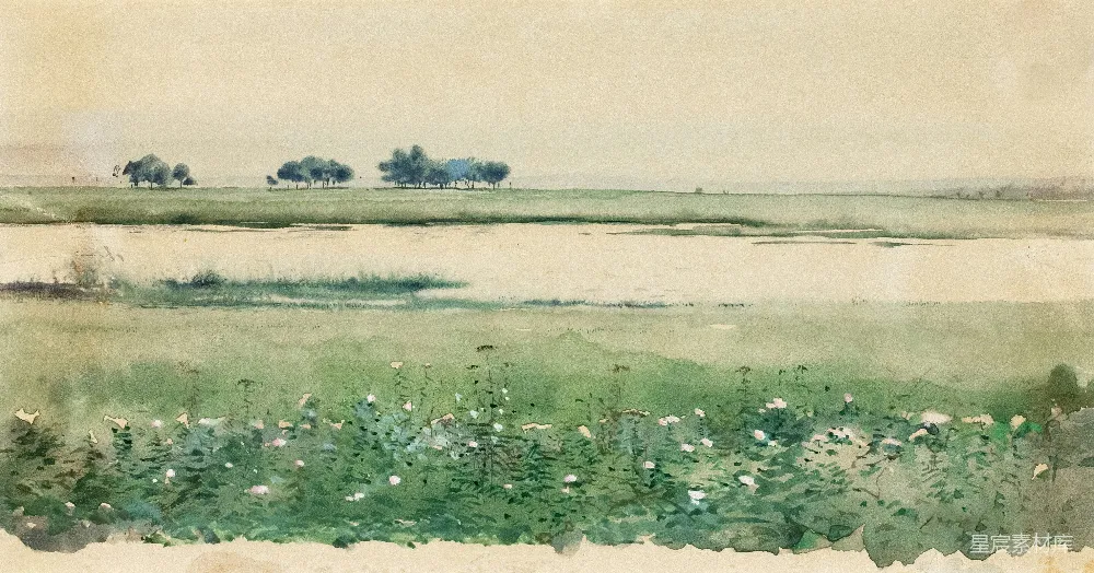 高清摄影  水彩风景画，野花和远处的树木
