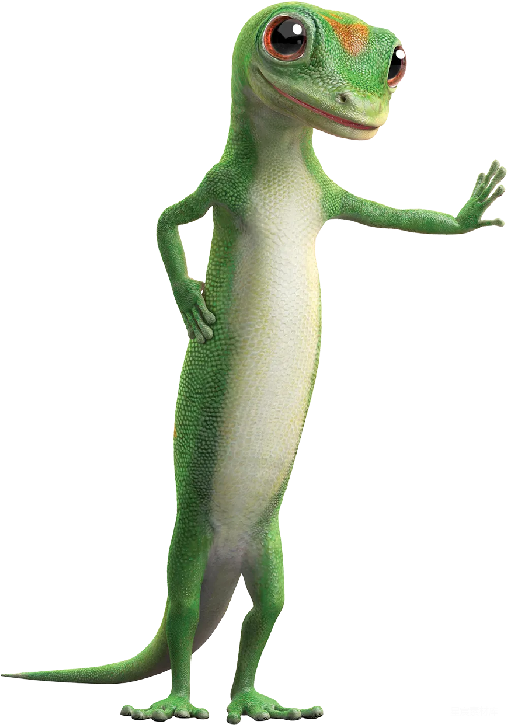 元素素材 Gecko