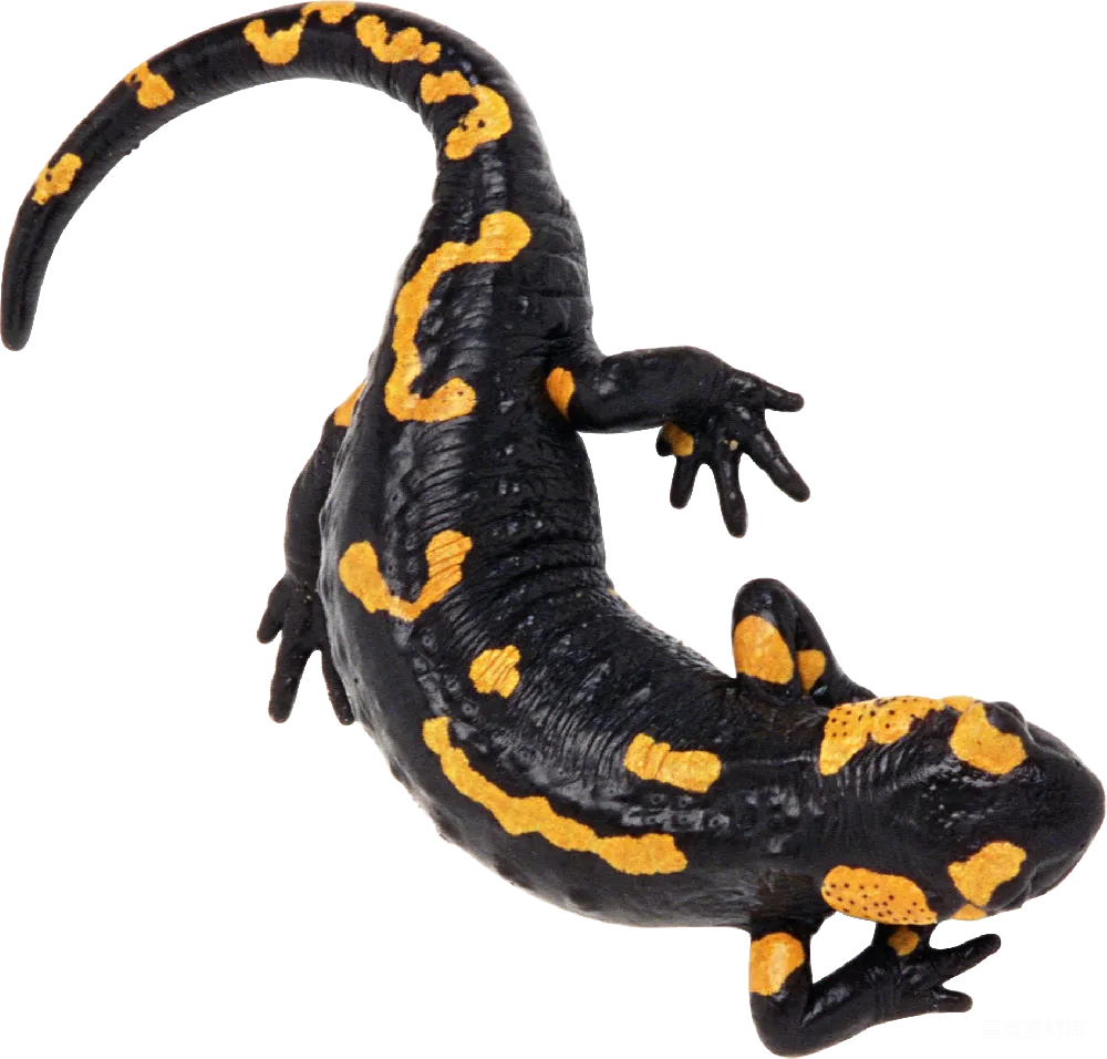 元素素材 元素 新特诺（Newt）