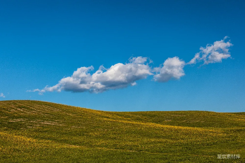 高清摄影 自然 旅行 壁纸 绿草.fields