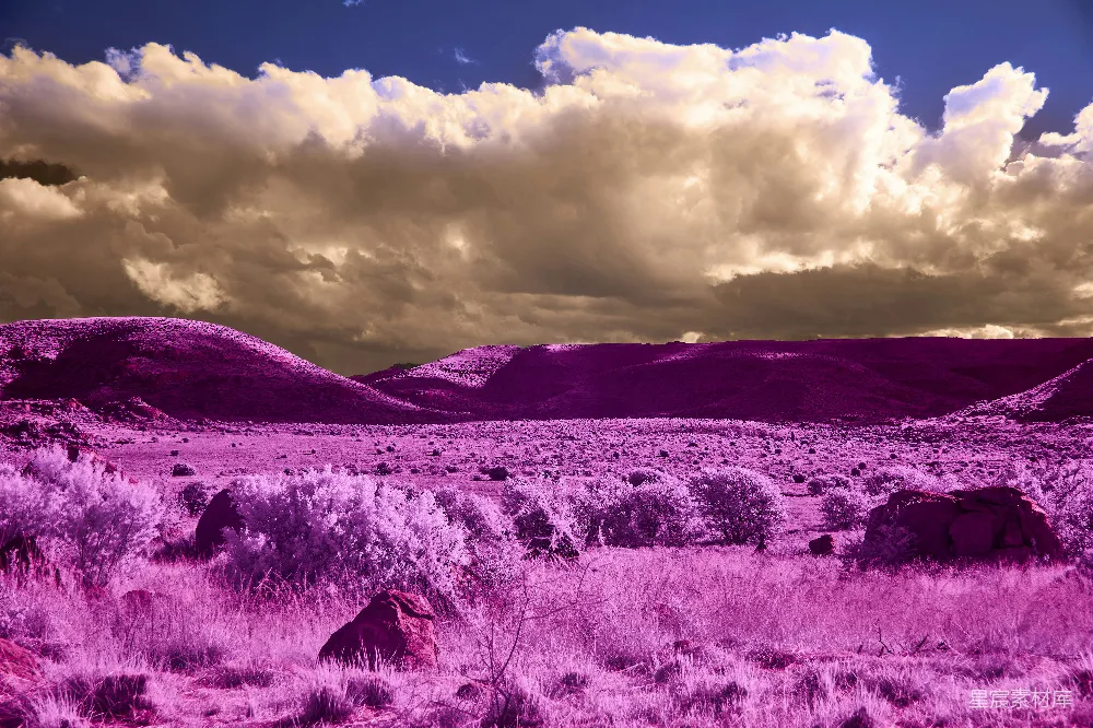 高清摄影 vibrant 粉色的；landscape 地貌；dramatic 强烈的；under 在……下；blue 天空是蓝色的。那么，翻译后的句子就是：一幅充满活力的粉色地貌，云朵在蔚蓝的天空下显得格外强烈。