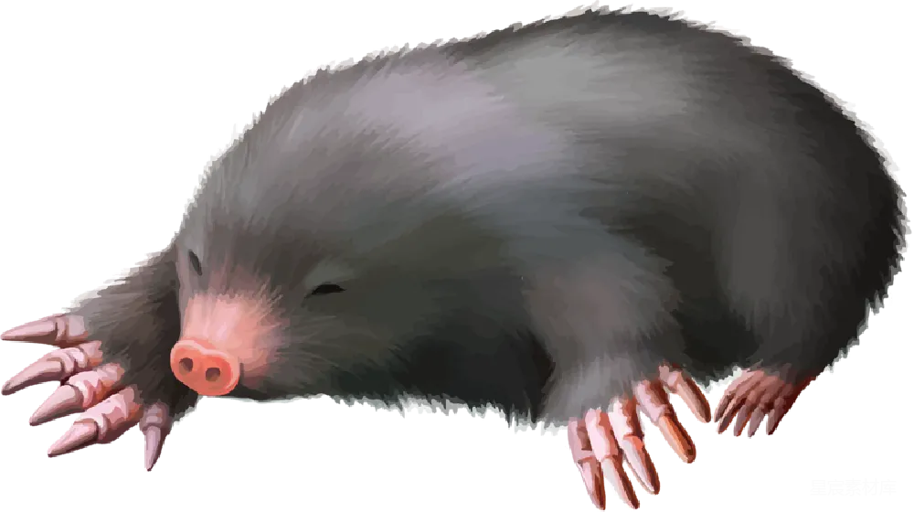 元素素材 元素 鼹鼠