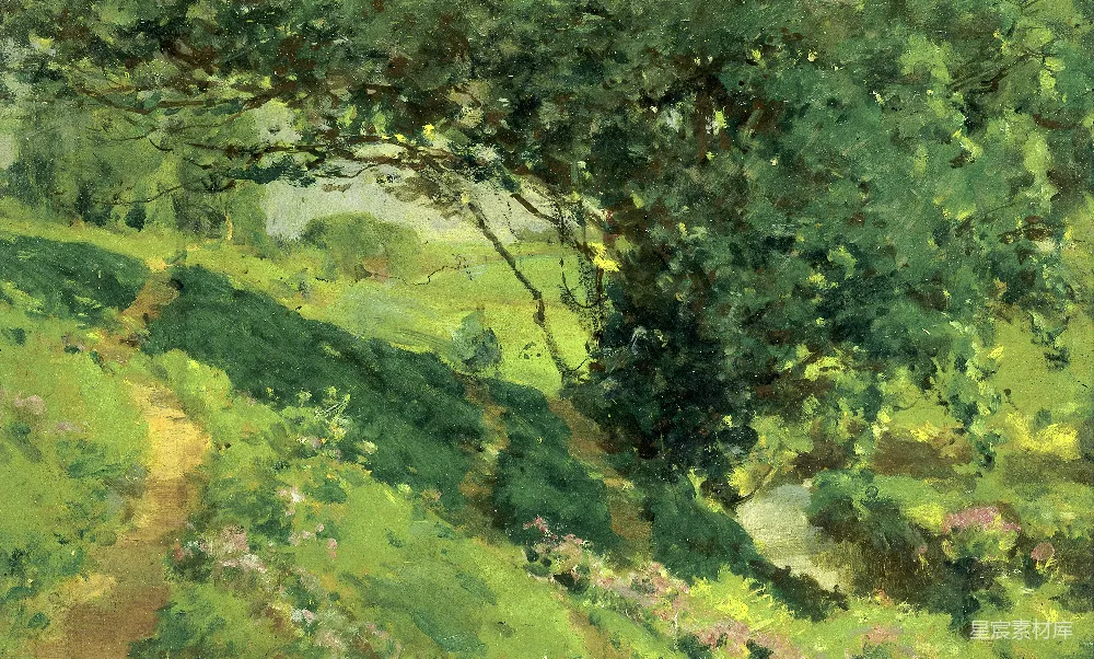 高清摄影  一条阳光斑驳的小径蜿蜒穿过一片翠绿的 landscapes。