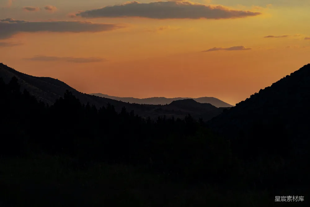 高清摄影 夕阳为山间树木披上温暖的光辉。