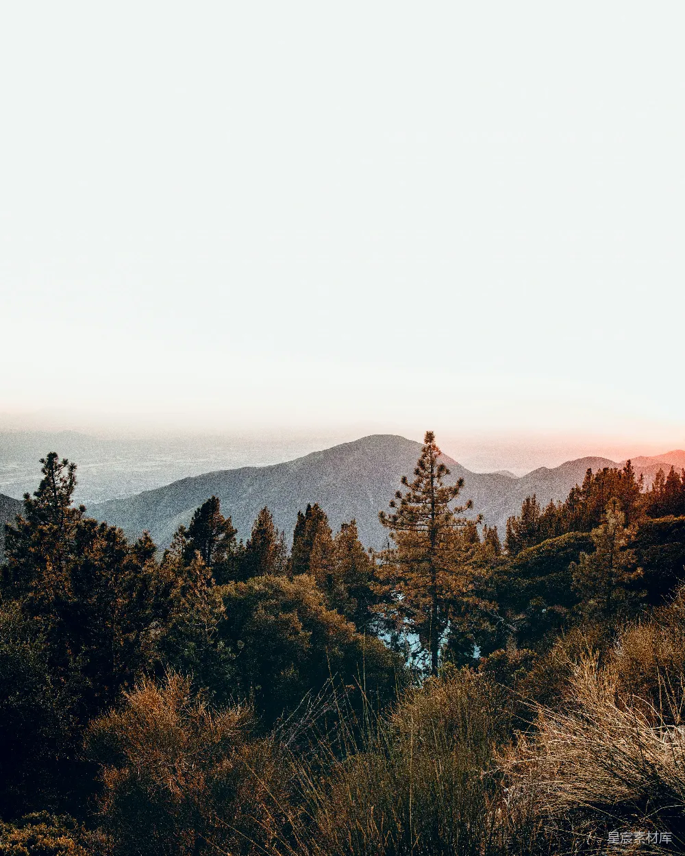高清摄影  云下各种树木