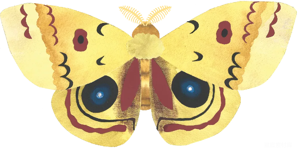 元素素材 透明
