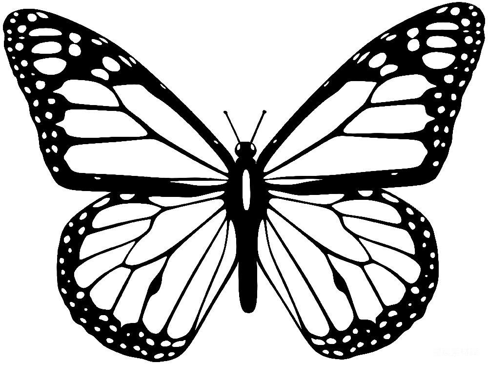 元素素材 元素 蛾