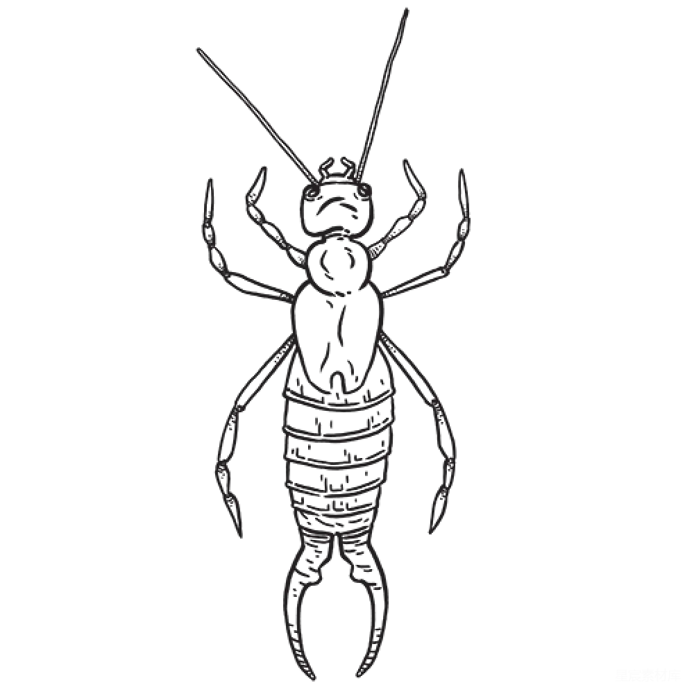 元素素材 透明的