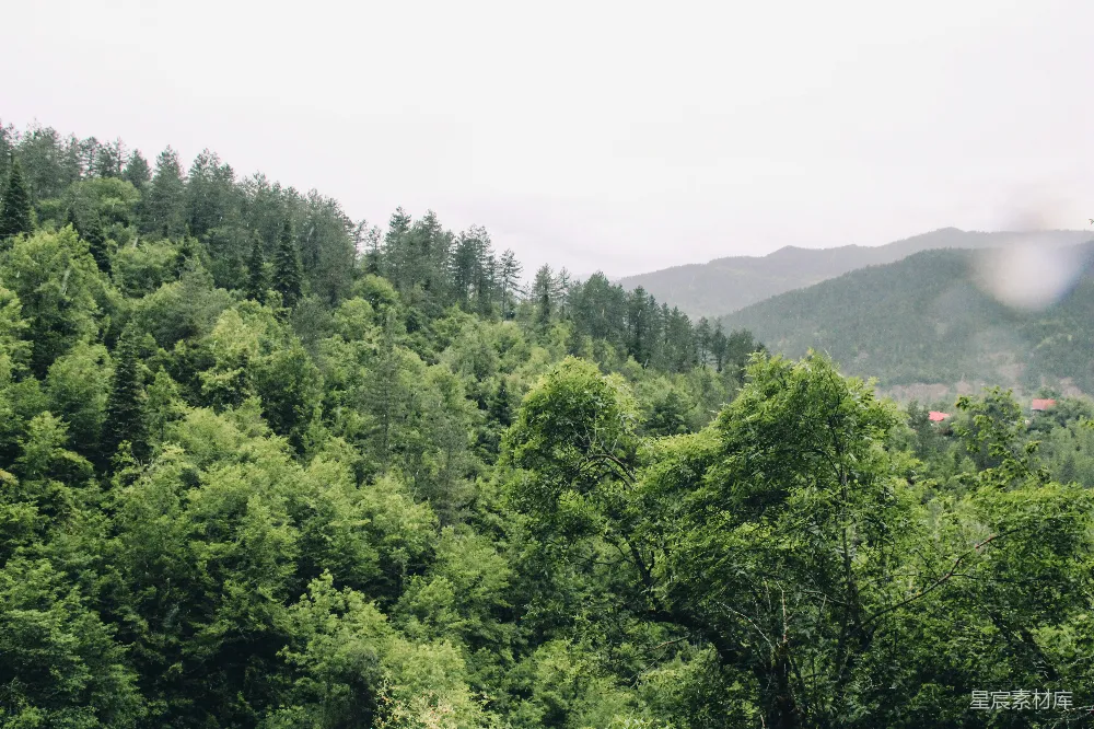 高清摄影 壁纸 自然 旅行 山间绿林下云遮天色。