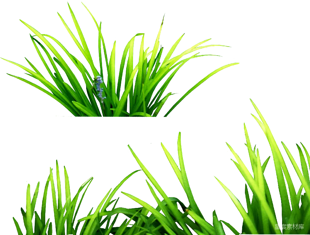 元素素材 草