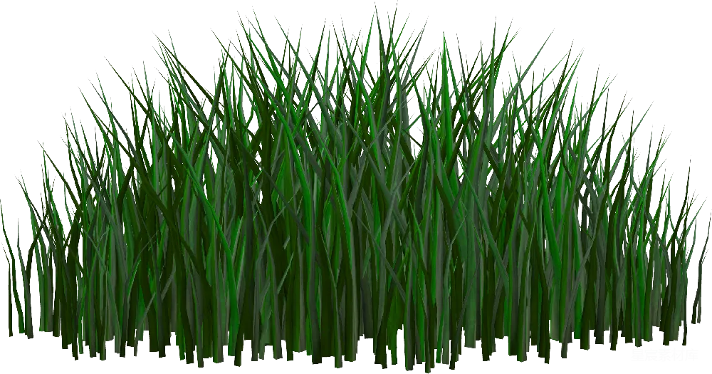 元素素材 草