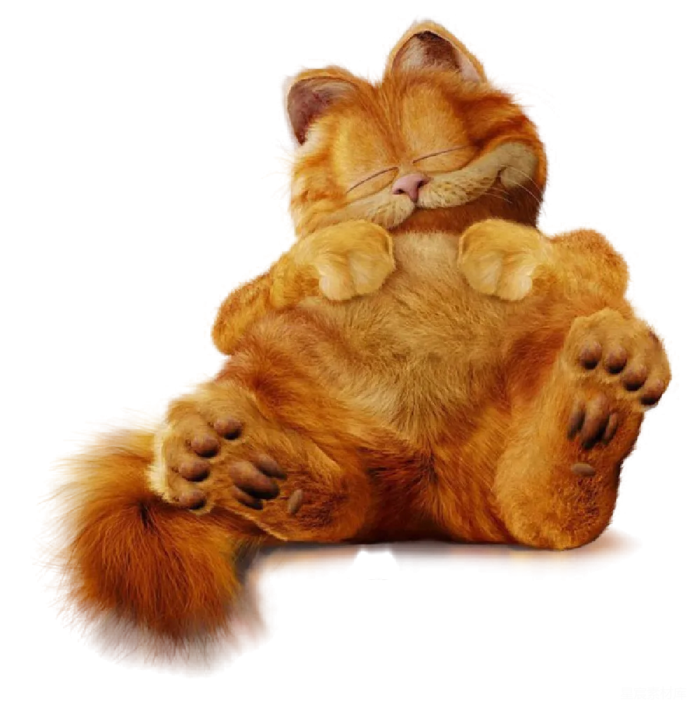 元素素材 猫咪 可爱 幽默 蜷缩的橘猫