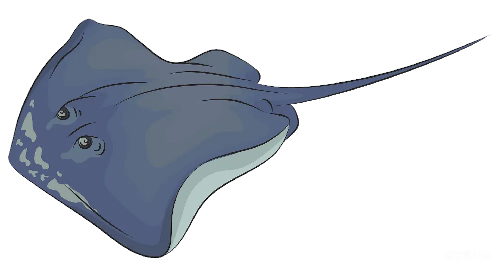 元素素材 海王星探测器