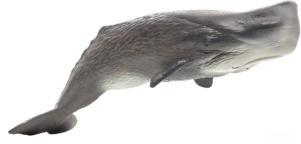 元素素材 艺术 雕塑 海洋生物 鲸鱼雕塑