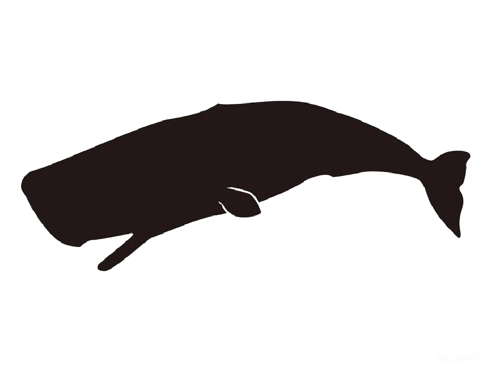 元素素材 鲸鱼 海洋生物 艺术插图 深海巨鲸剪影