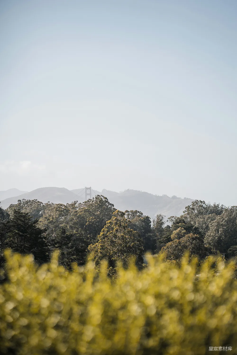 高清摄影 碧树远山青天外。