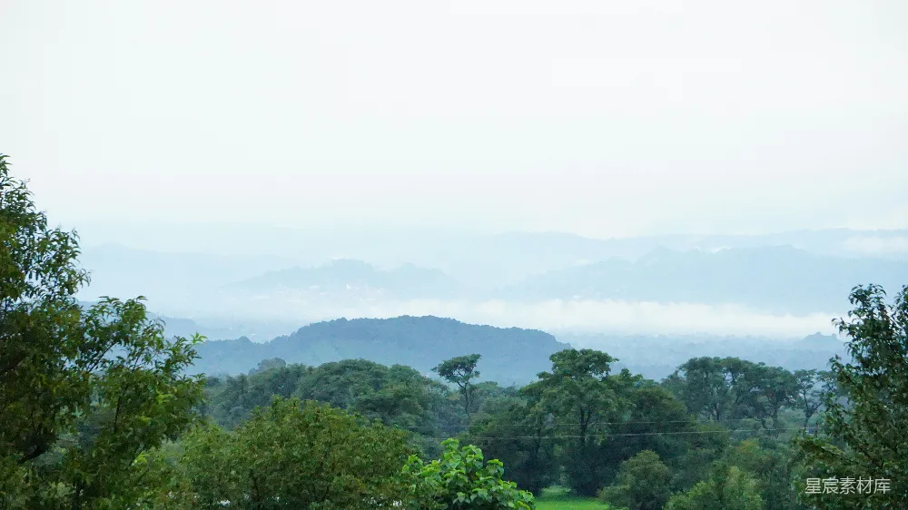 高清摄影 山中白天绿树葱茏
