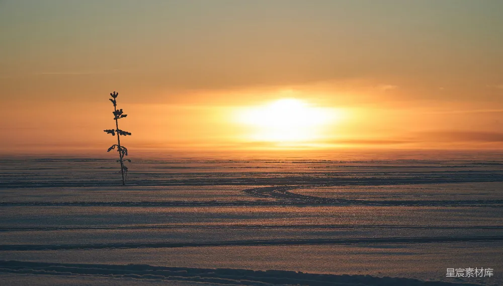 高清摄影 夕阳西下，一片广阔的雪地显露出来。