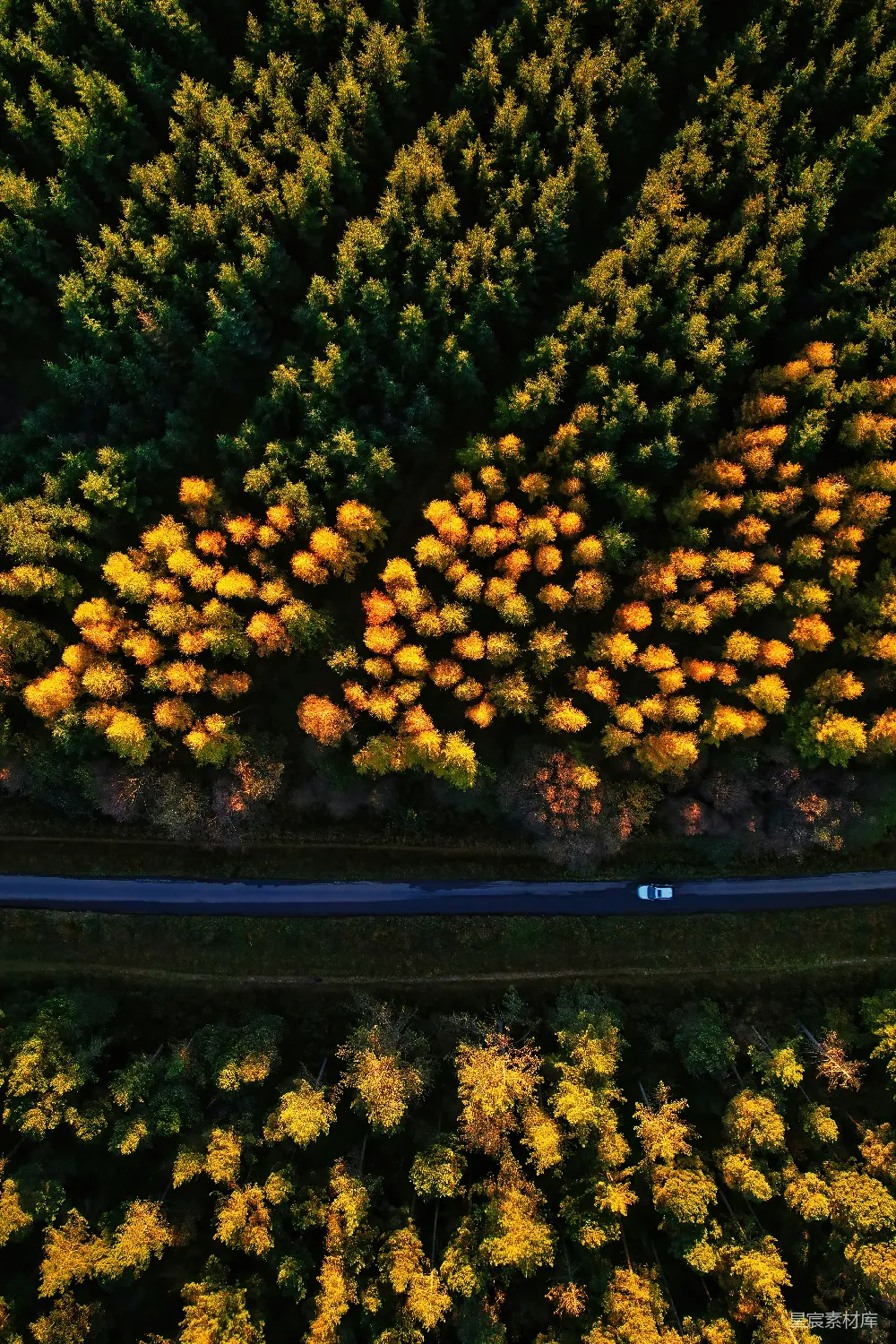 高清摄影 树丛环绕的道路的空中俯视图