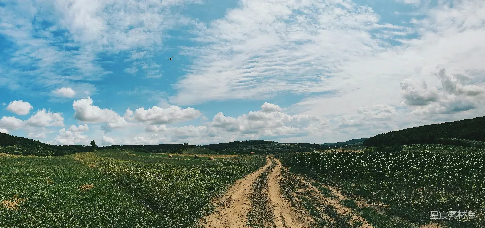 高清摄影 白天绿草地上方有蓝天白云的景象