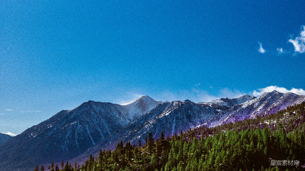 高清摄影  前景中有树木的一座山range的景象