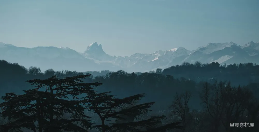 高清摄影  前景中有树木的山峦景色