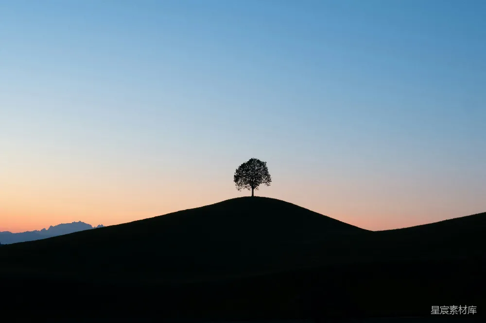 高清摄影 山顶上一棵孤树