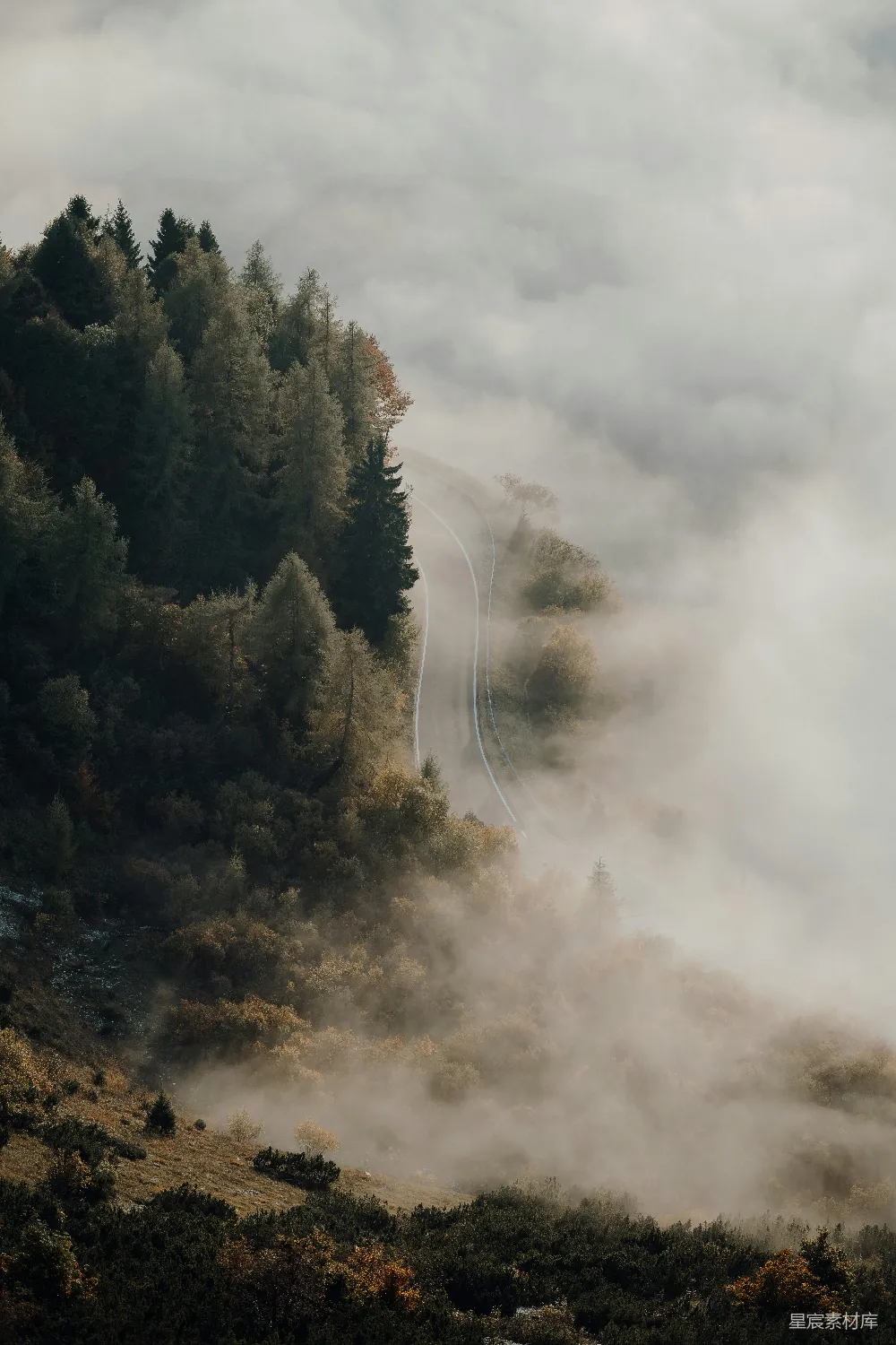高清摄影 覆盖着绿树的山峦