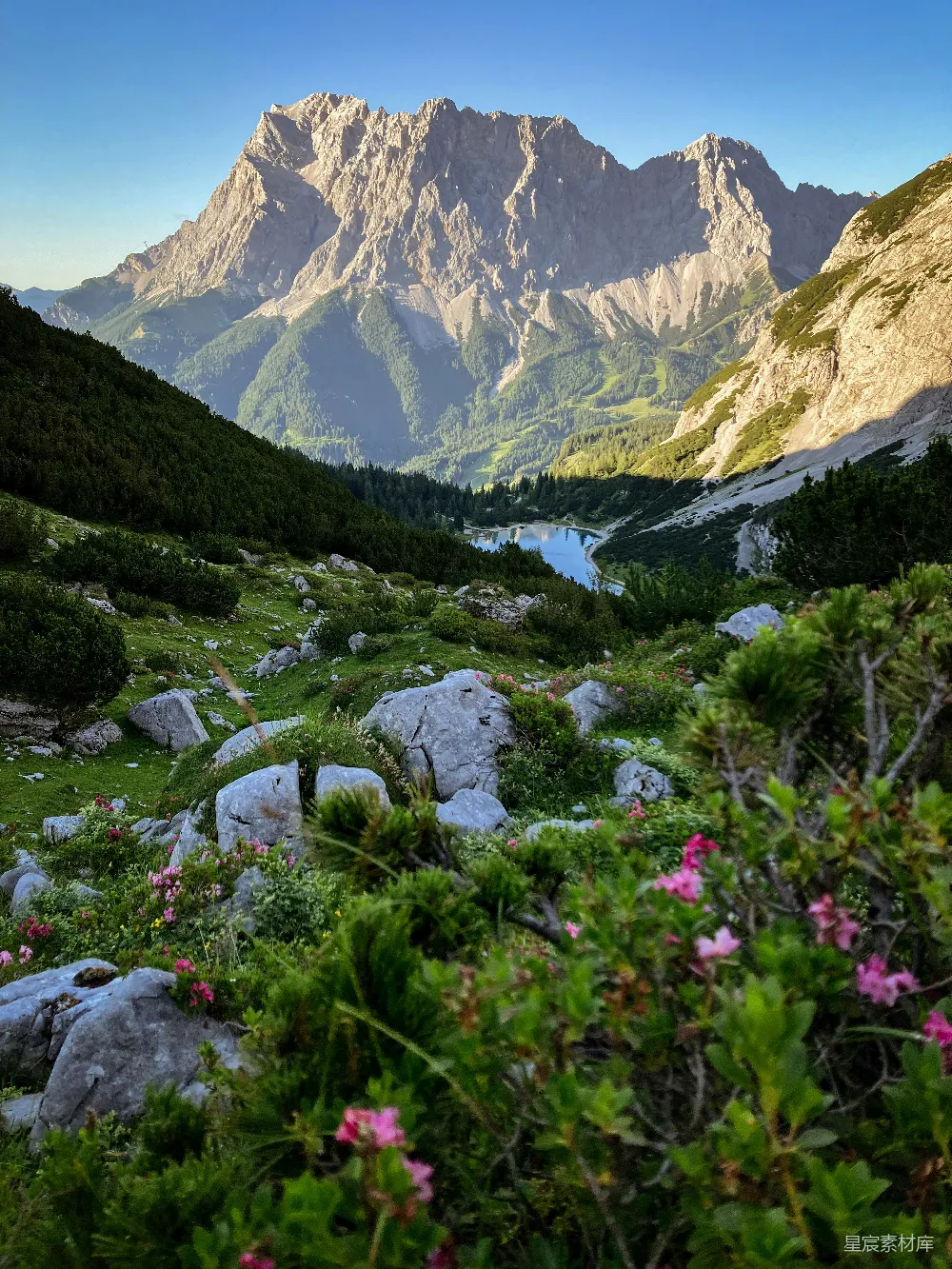 高清摄影  前景中有山峦和花朵的一幅画面