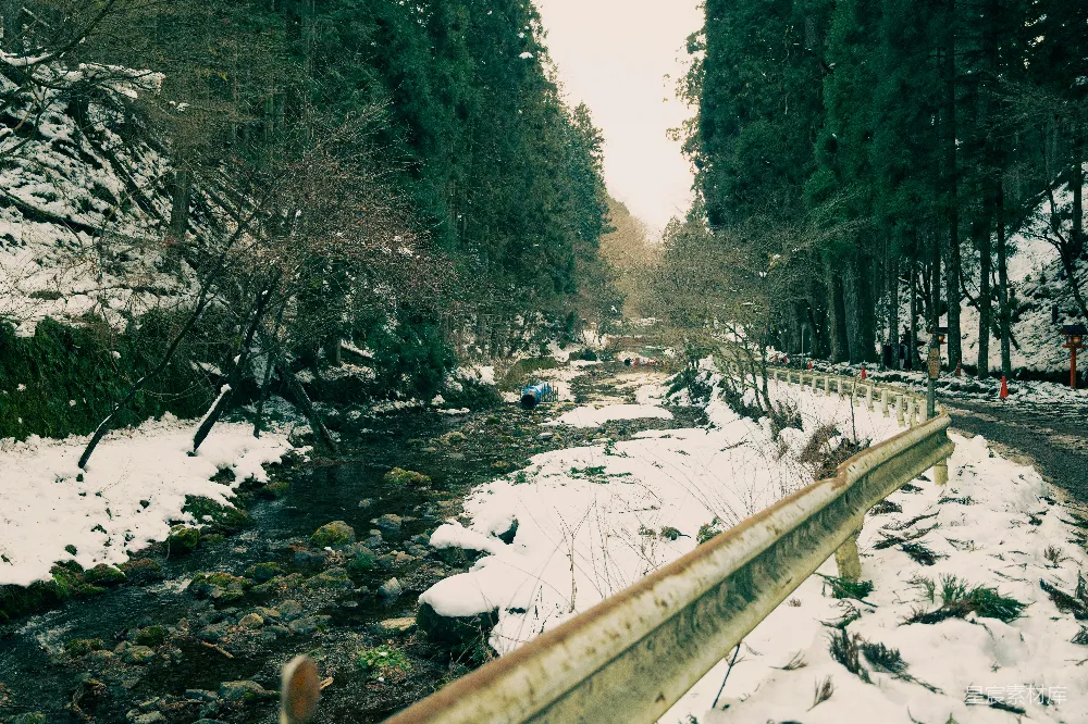 高清摄影 一条河流穿过一片覆盖着白雪的森林