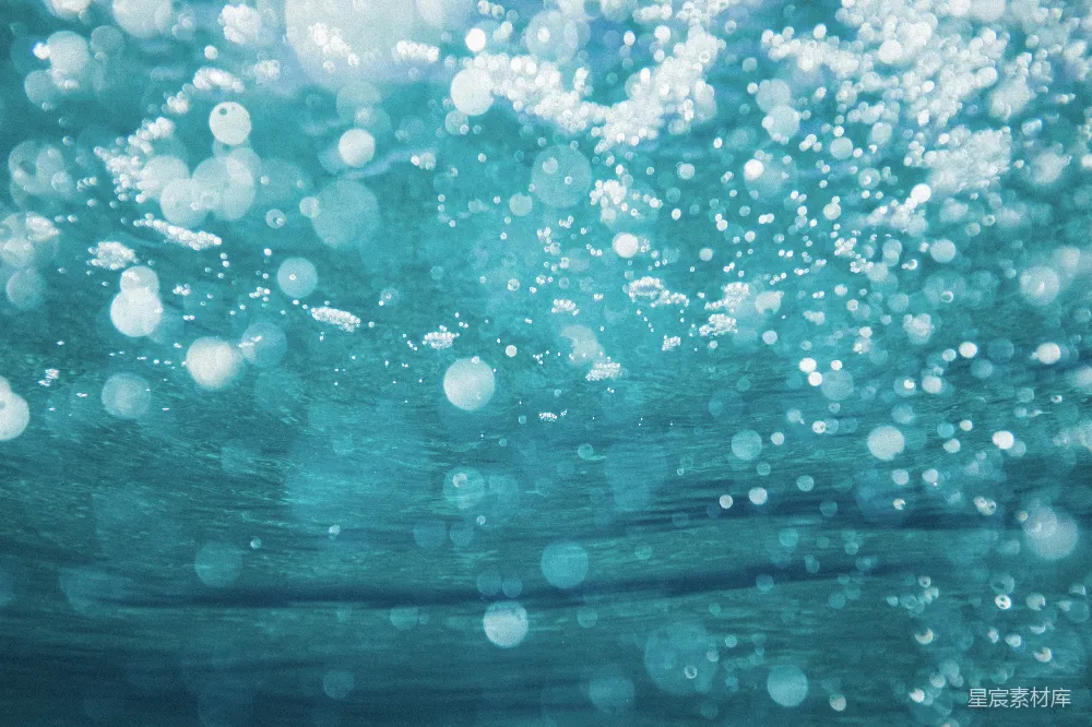 高清摄影 水下摄影中的水泡