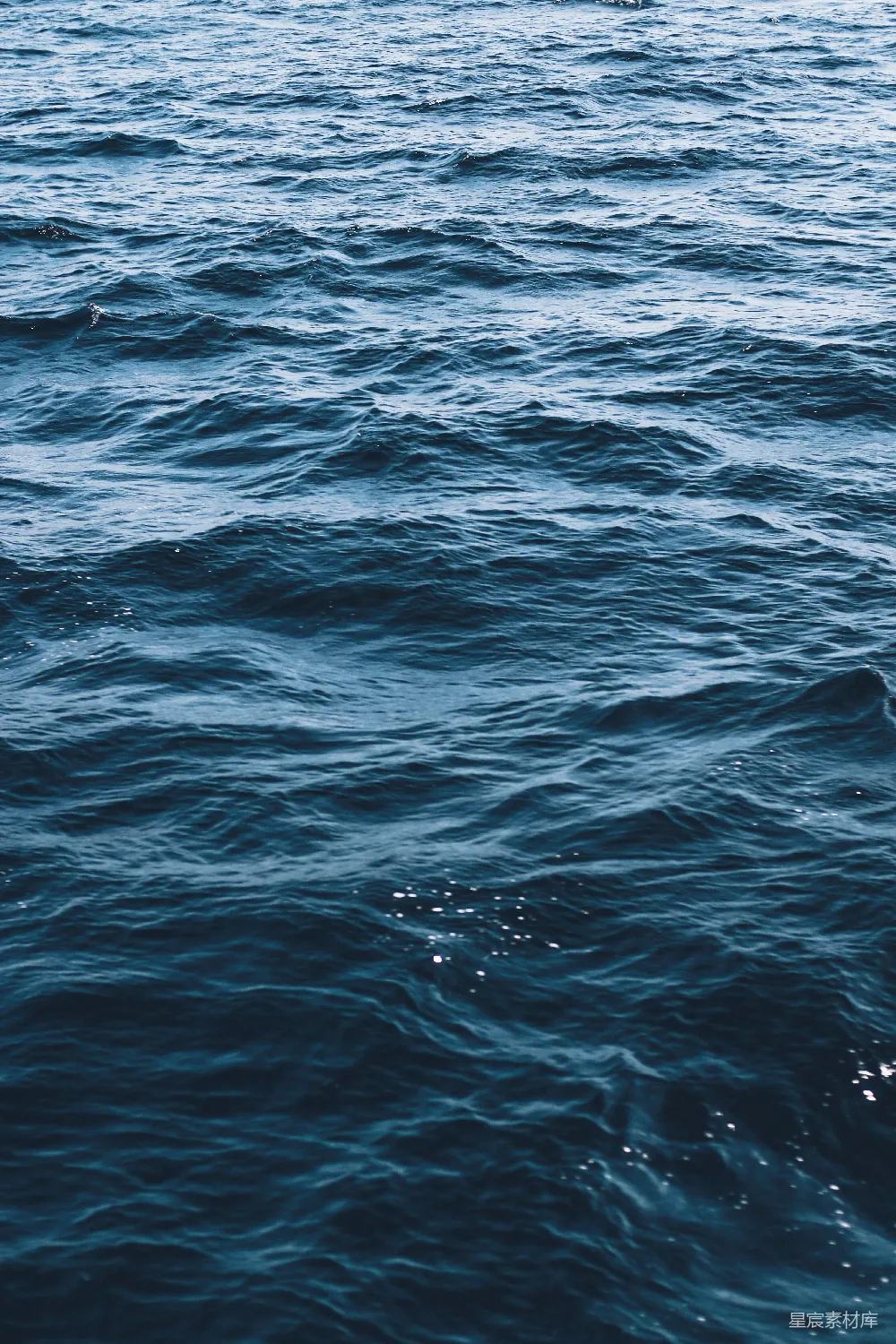 高清摄影 海洋
