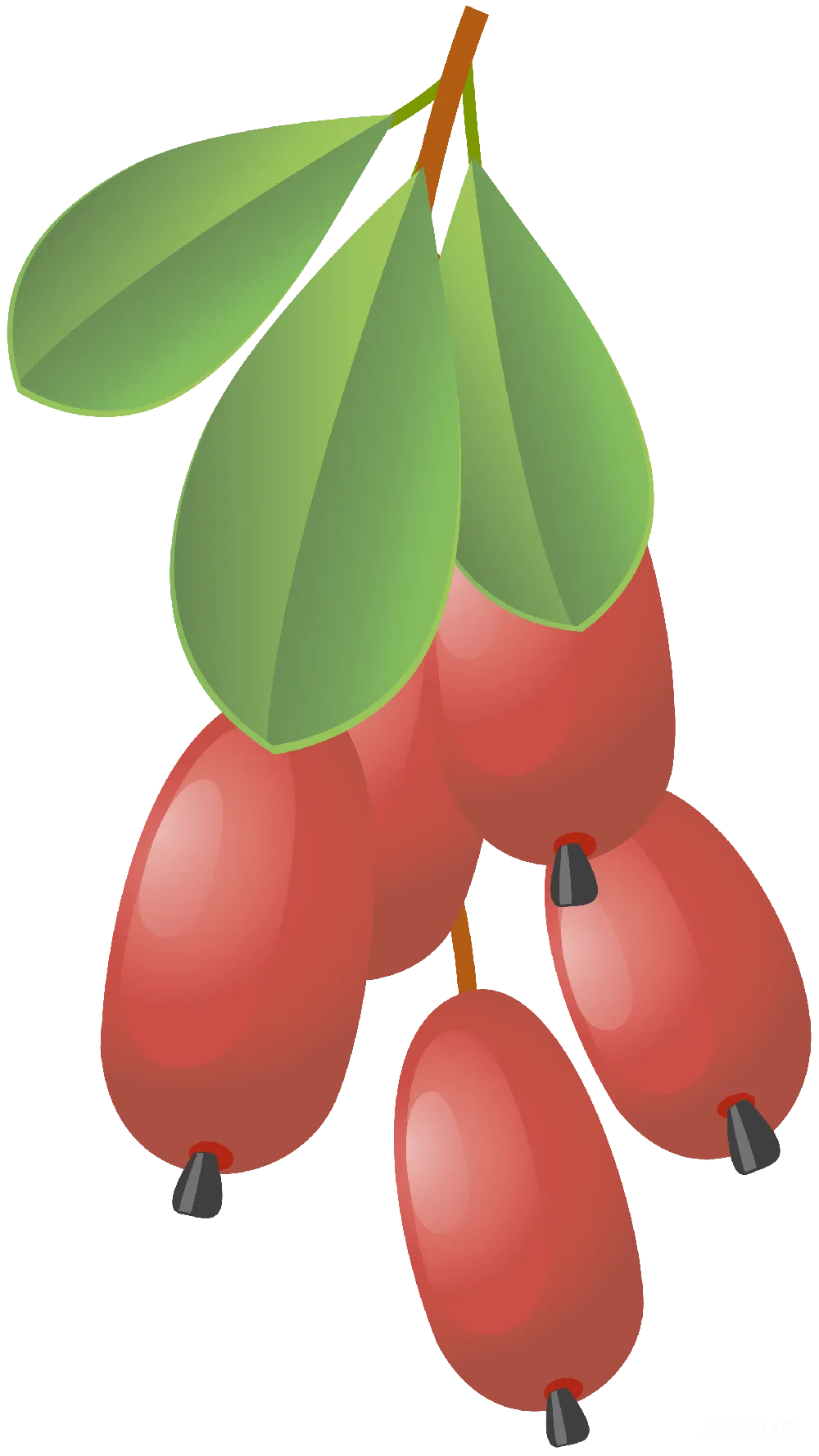 元素素材 巴尔 berry 委屈