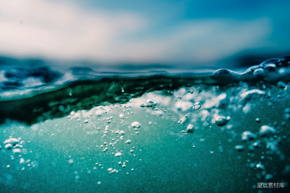 高清摄影 自然 水面的特写照片