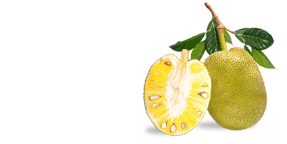 元素素材 元素 jackfruit