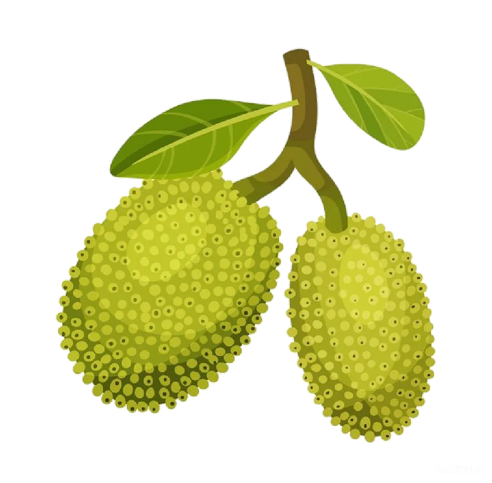 元素素材 热带水果 卡通风格 食物插画 菠萝蜜