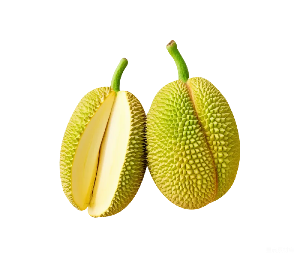 元素素材 元素 Jackfruit